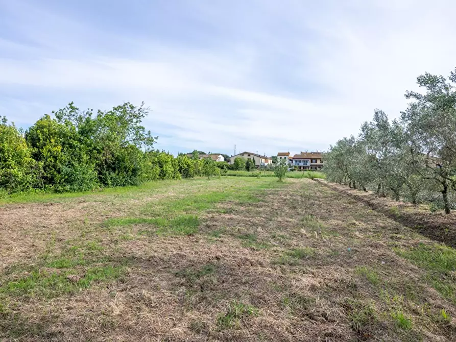 Immagine 63 di Terratetto in vendita  a Cascina