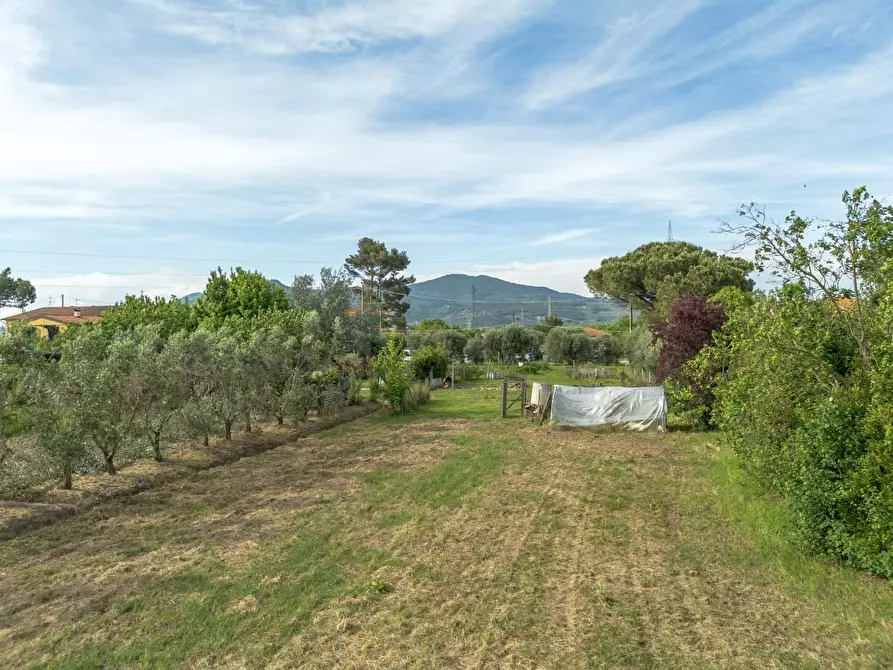 Immagine 38 di Terratetto in vendita  a Cascina