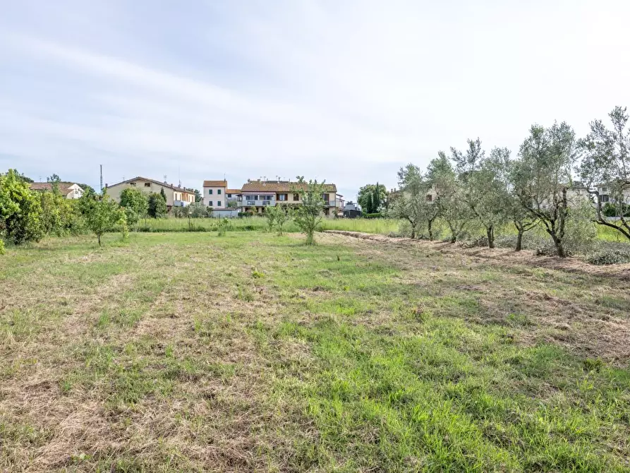 Immagine 62 di Terratetto in vendita  a Cascina