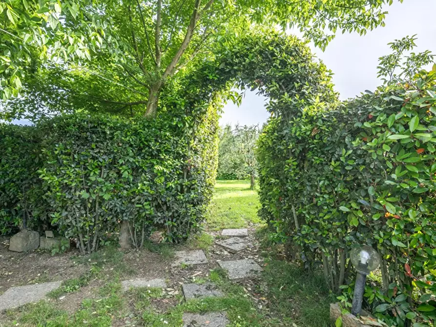 Immagine 56 di Terratetto in vendita  a Cascina