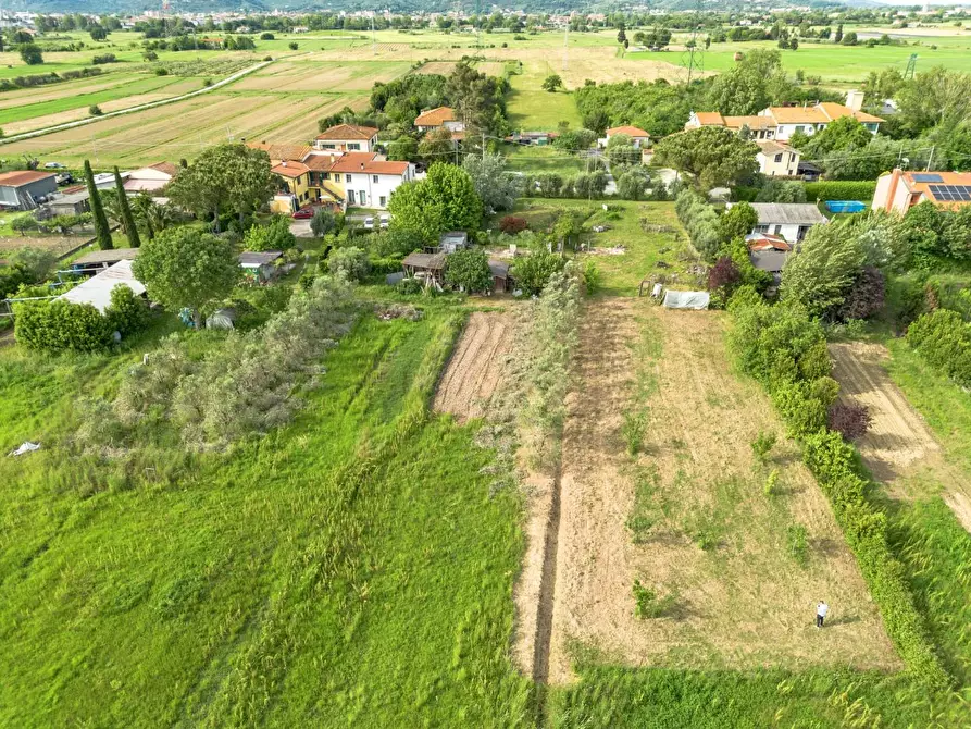 Immagine 37 di Terratetto in vendita  a Cascina