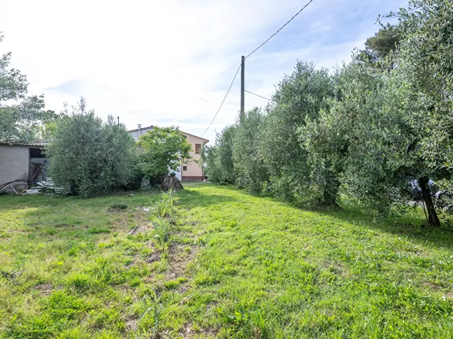 Immagine 59 di Terratetto in vendita  a Cascina