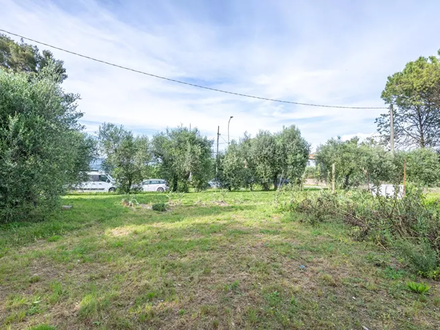 Immagine 58 di Terratetto in vendita  a Cascina