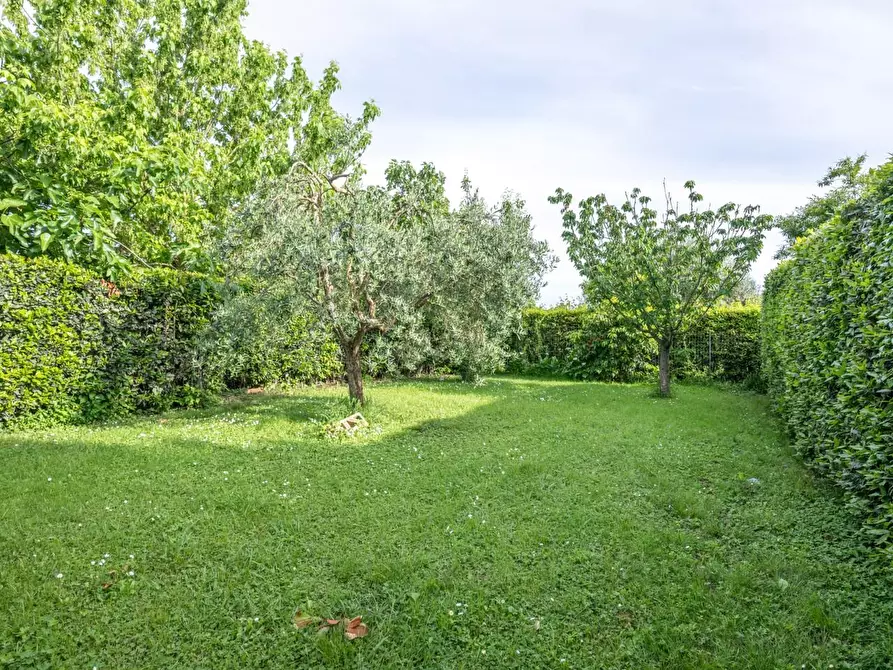 Immagine 54 di Terratetto in vendita  a Cascina