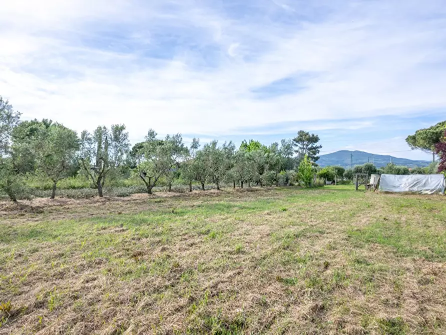 Immagine 61 di Terratetto in vendita  a Cascina