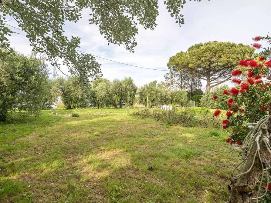 Immagine 64 di Terratetto in vendita  a Cascina