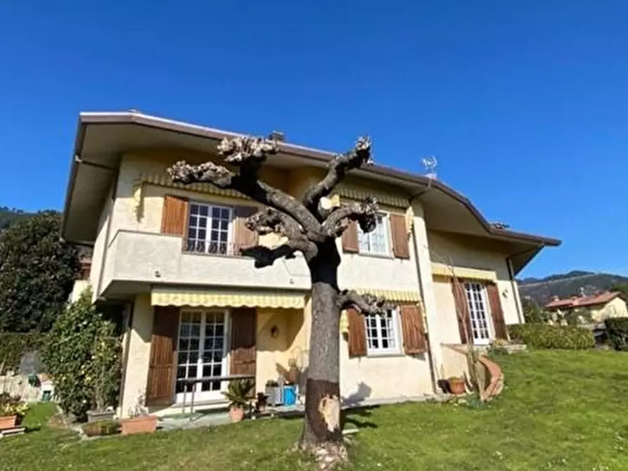 Immagine 32 di Casa indipendente in vendita  a Pietrasanta