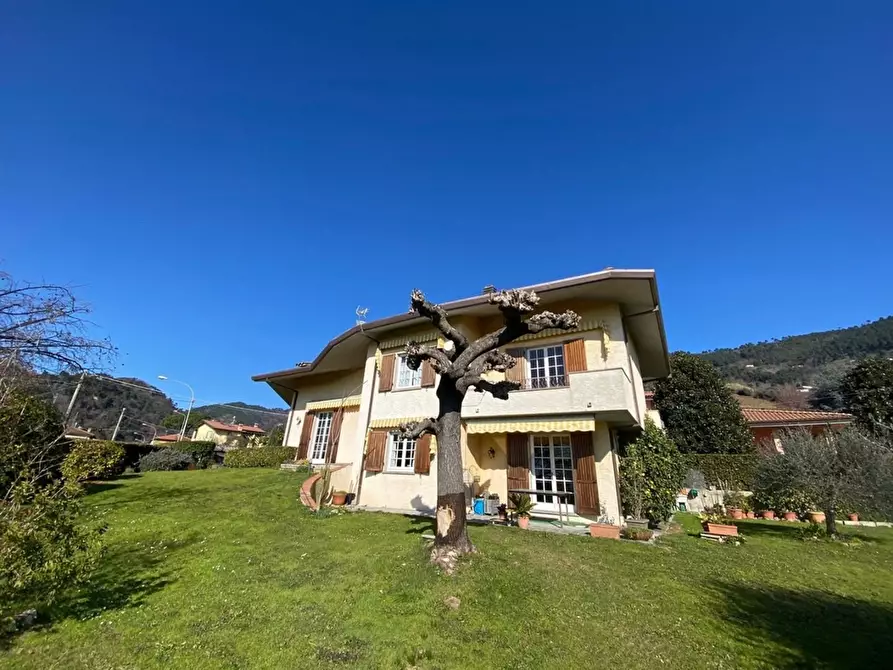 Immagine 30 di Casa indipendente in vendita  a Pietrasanta