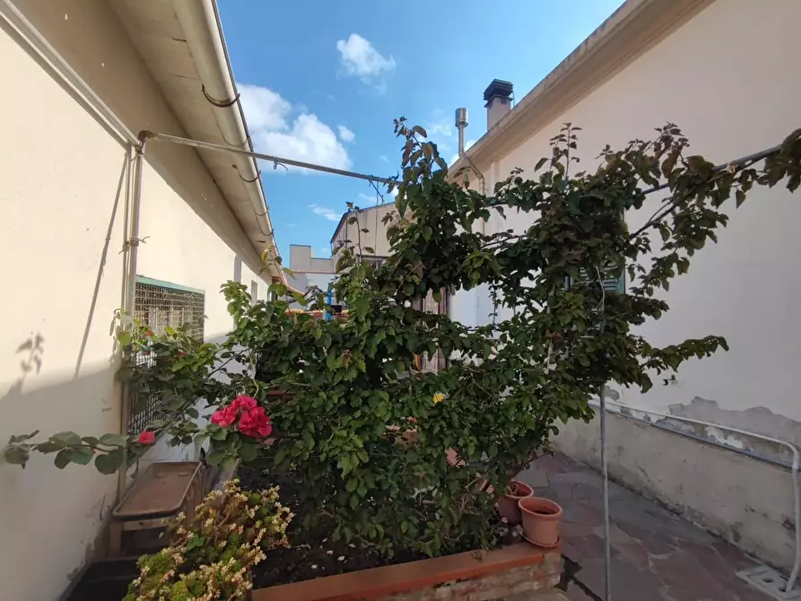 Immagine 2 di Casa indipendente in vendita  a Campiglia Marittima