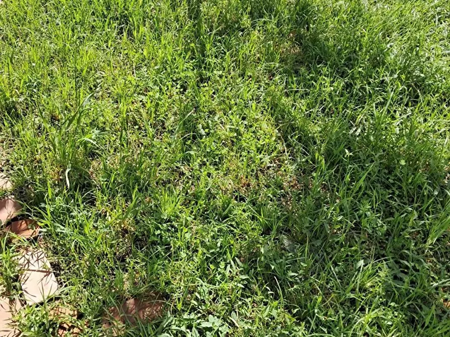 Immagine 32 di Villetta a schiera in vendita  a Cascina