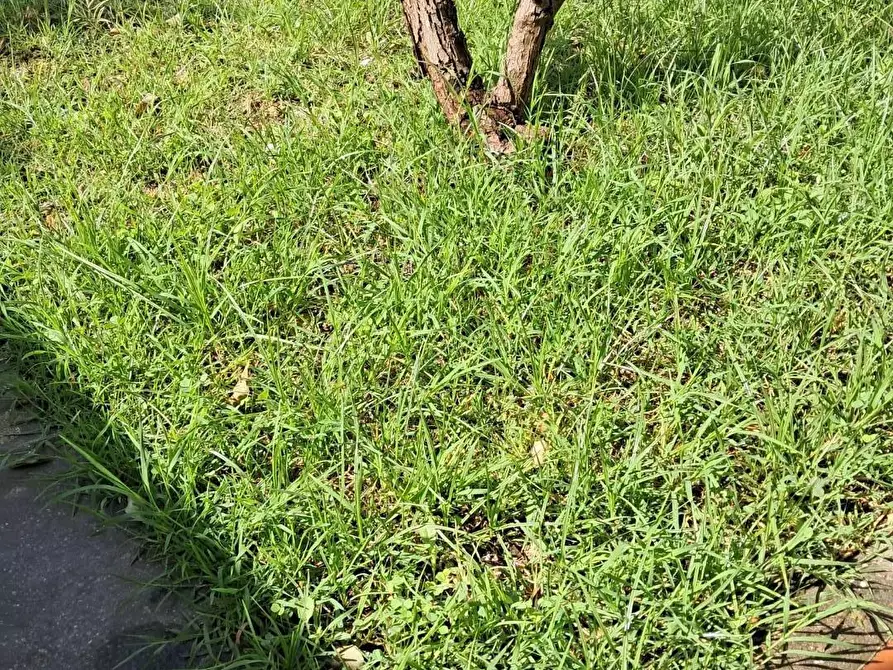 Immagine 31 di Villetta a schiera in vendita  a Cascina