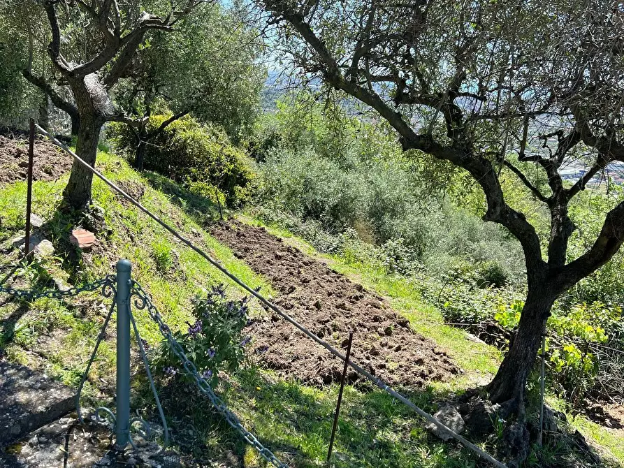 Immagine 24 di Appartamento in vendita  a Ortonovo