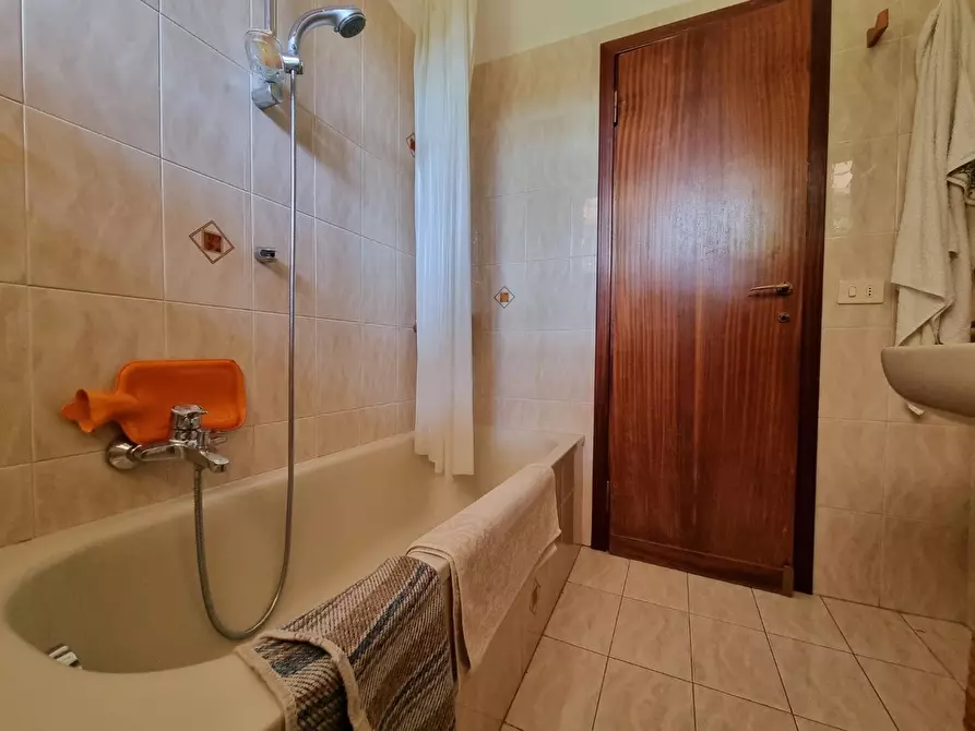 Immagine 19 di Appartamento in vendita  a Massa