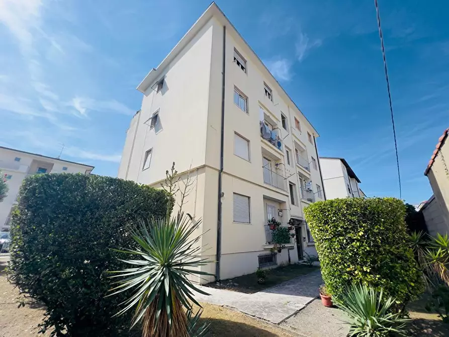 Immagine 2 di Appartamento in vendita  a Carrara