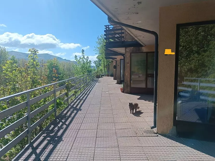 Immagine 5 di Appartamento in vendita  a Castiglione Di Garfagnana