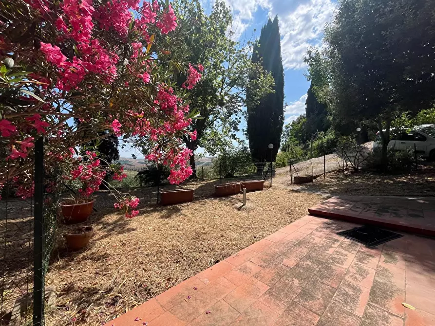 Immagine 6 di Appartamento in vendita  a Asciano