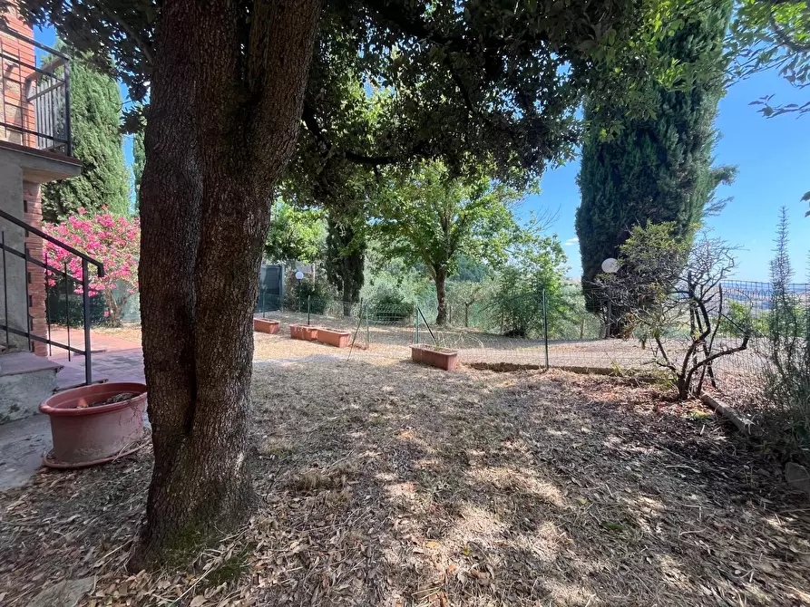 Immagine 4 di Appartamento in vendita  a Asciano