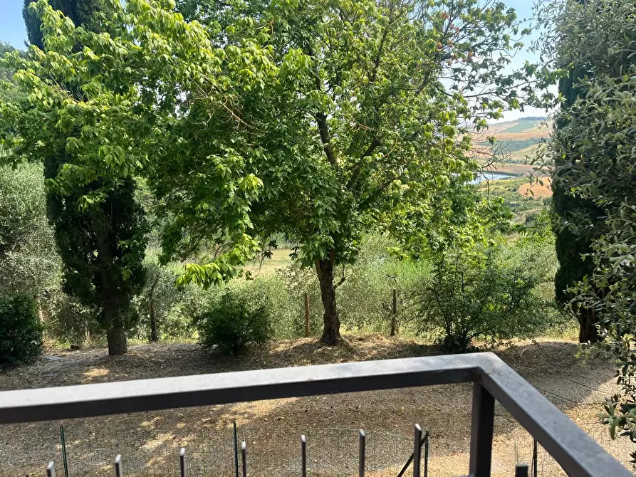 Immagine 7 di Appartamento in vendita  a Asciano