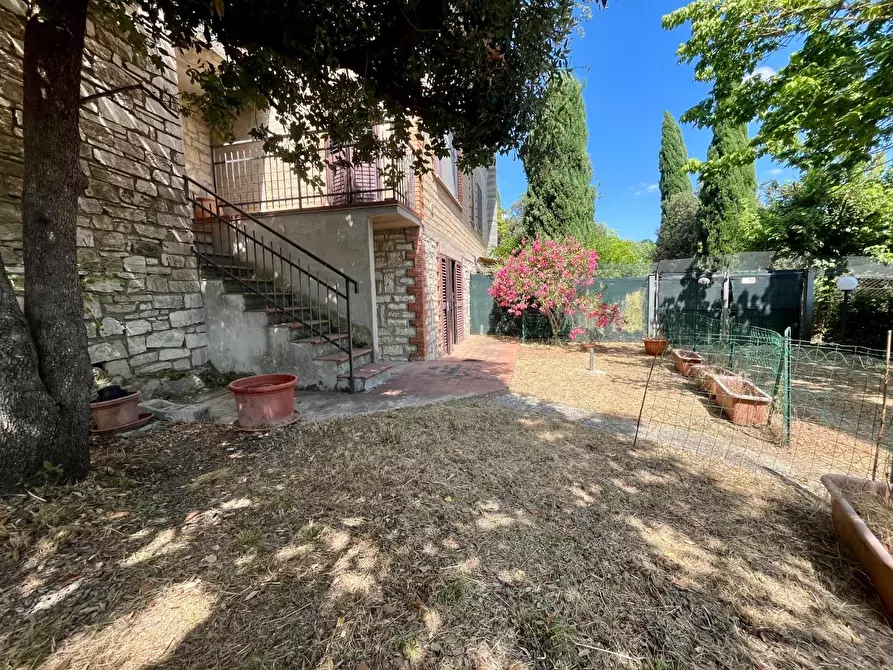 Immagine 5 di Appartamento in vendita  a Asciano