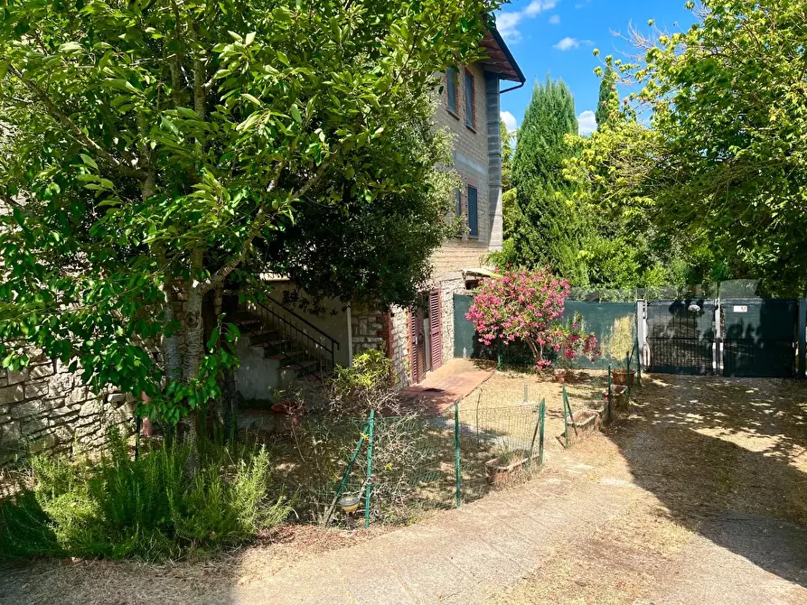 Immagine 1 di Appartamento in vendita  a Asciano