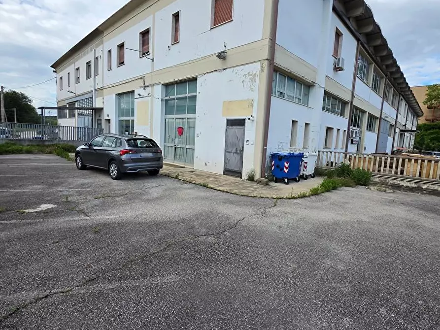 Immagine 3 di Attività artigianale in vendita  a Vinci