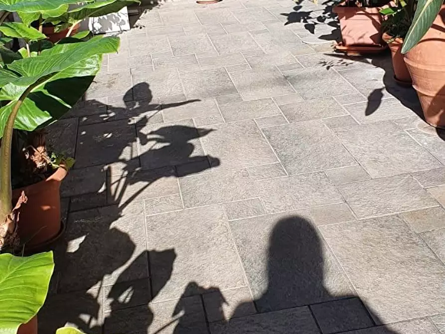 Immagine 8 di Casa bifamiliare in vendita  a Rosignano Marittimo