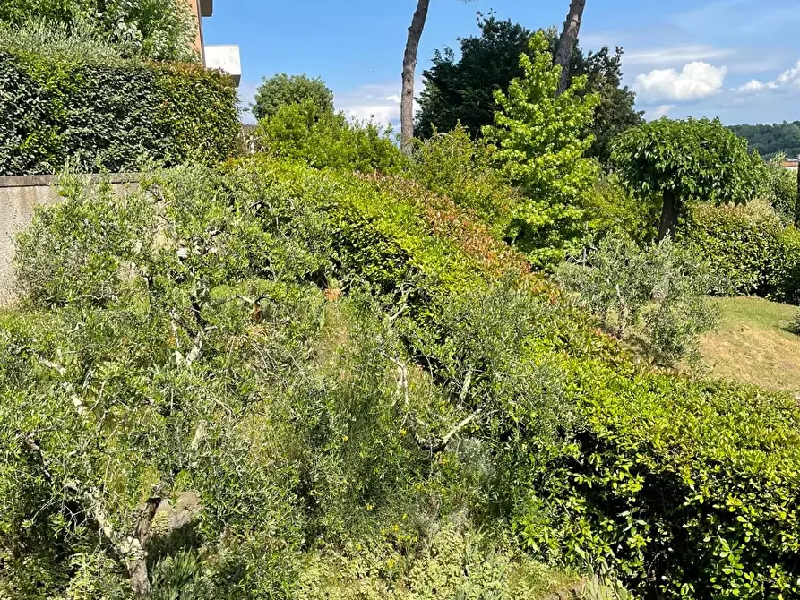 Immagine 51 di Villetta a schiera in vendita  a San Miniato