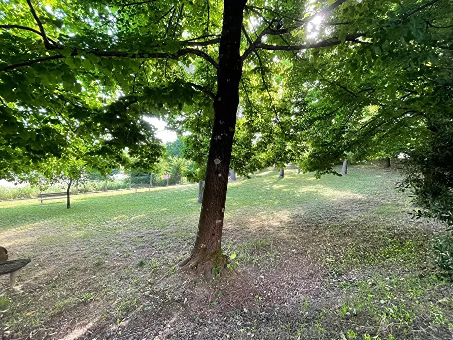 Immagine 59 di Villetta a schiera in vendita  a San Miniato