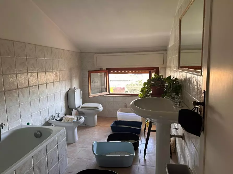 Immagine 33 di Terratetto in vendita  a Viareggio