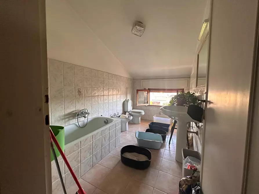 Immagine 34 di Terratetto in vendita  a Viareggio