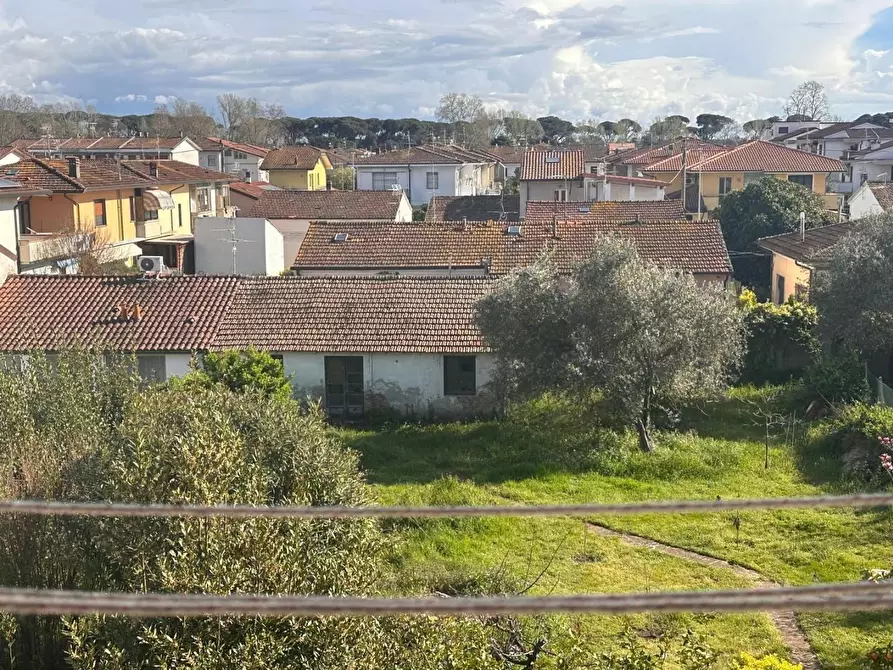 Immagine 35 di Terratetto in vendita  a Viareggio