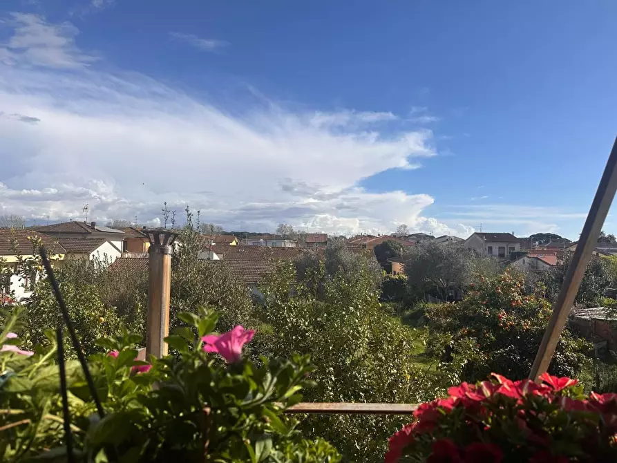 Immagine 37 di Terratetto in vendita  a Viareggio