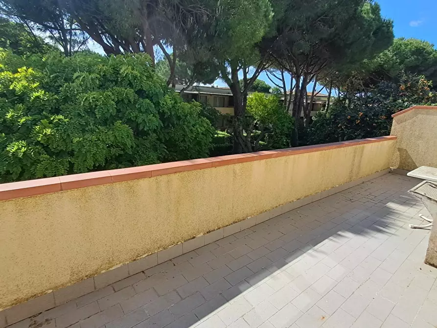 Immagine 9 di Appartamento in vendita  a Bibbona