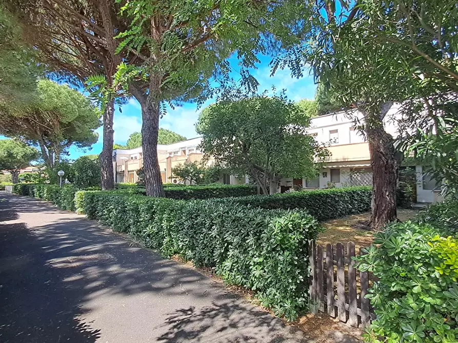 Immagine 11 di Appartamento in vendita  a Bibbona