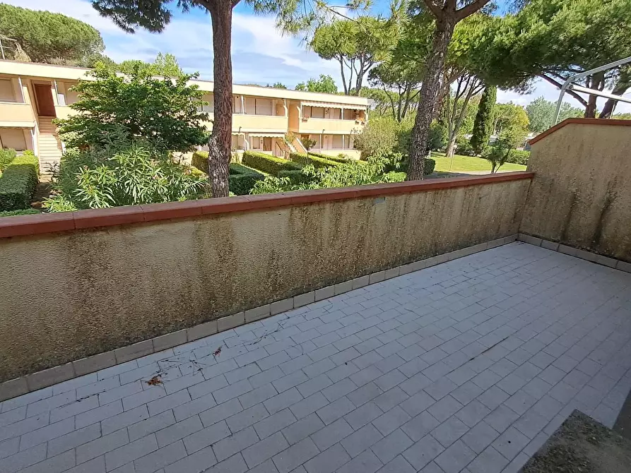 Immagine 8 di Appartamento in vendita  a Bibbona