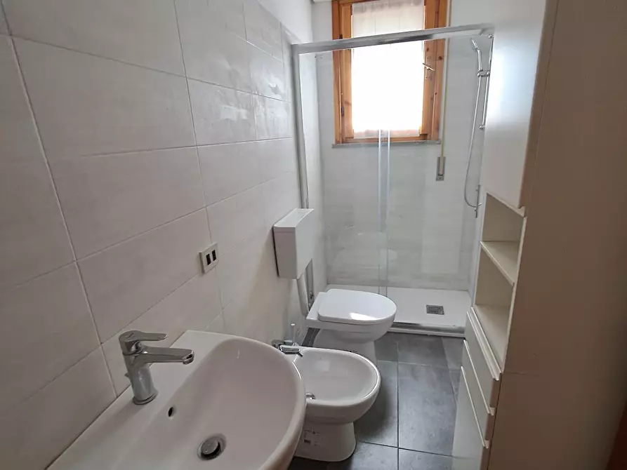 Immagine 4 di Appartamento in vendita  a Bibbona