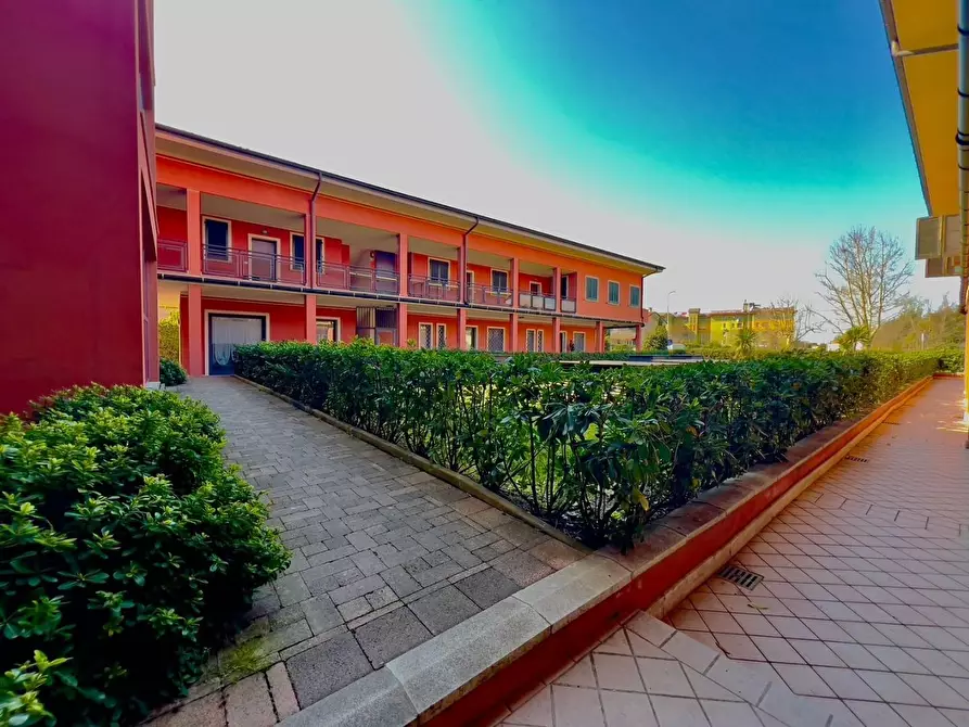 Immagine 6 di Appartamento in vendita  a Pietrasanta