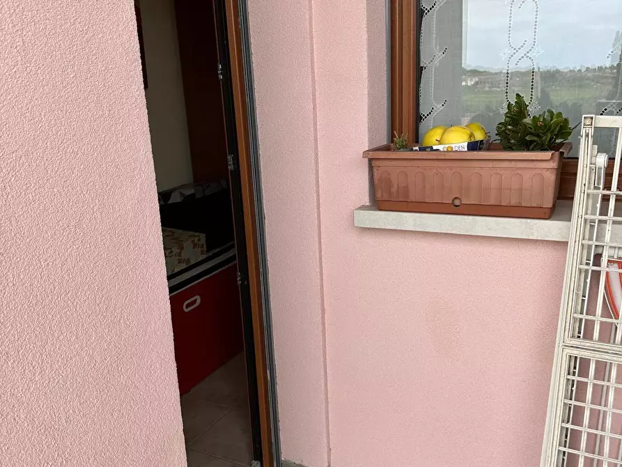 Immagine 5 di Appartamento in vendita  a Campiglia Marittima