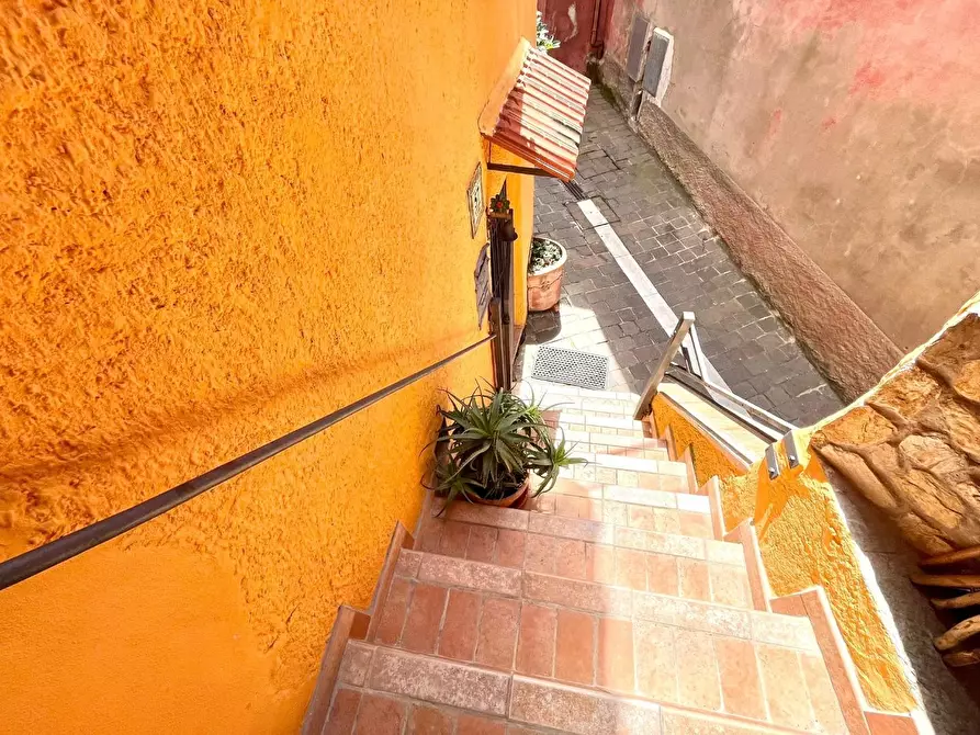 Immagine 7 di Terratetto in vendita  a Massa