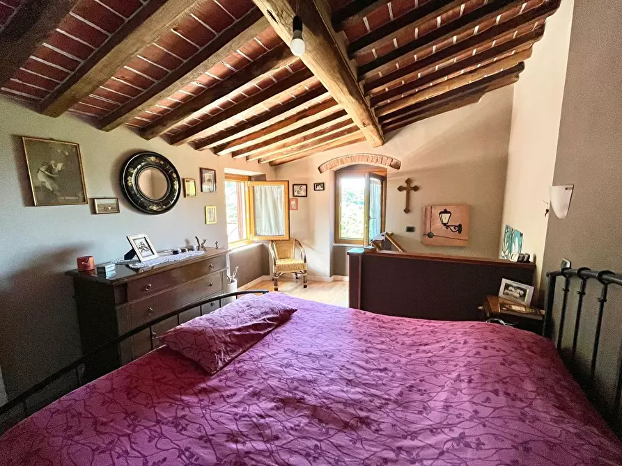 Immagine 19 di Terratetto in vendita  a Massa