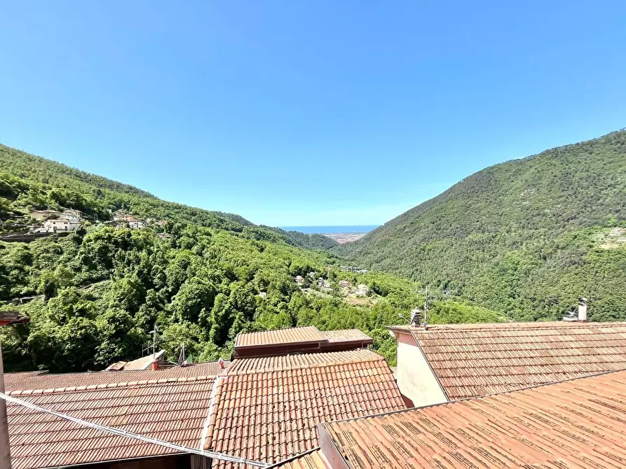 Immagine 20 di Terratetto in vendita  a Massa