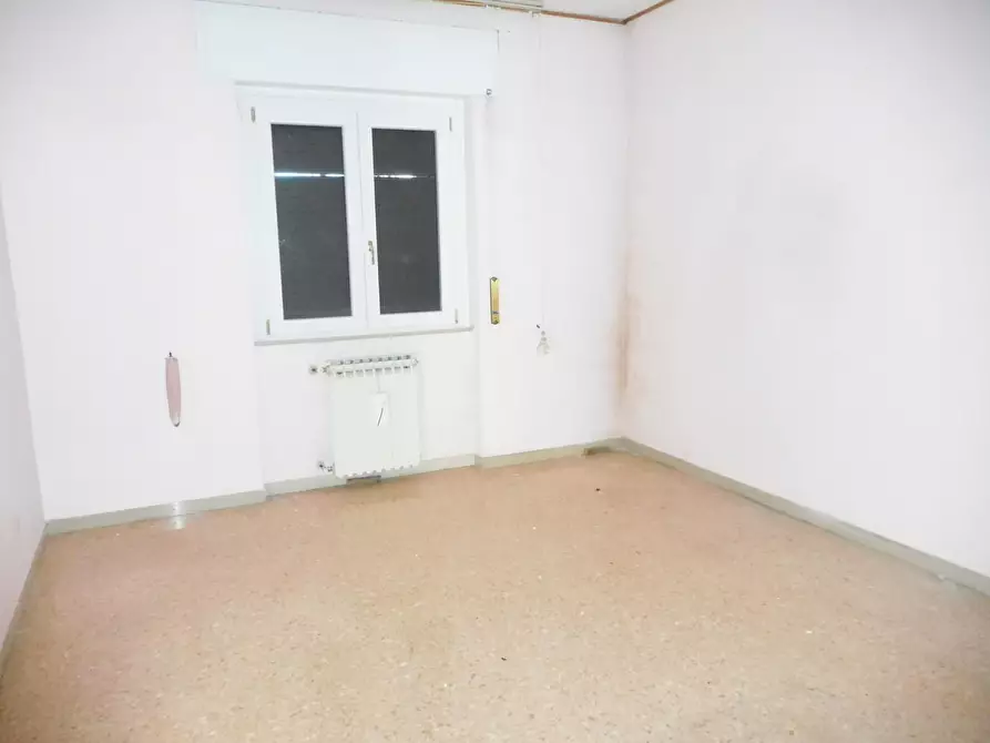 Immagine 10 di Terratetto in vendita  a San Giuliano Terme