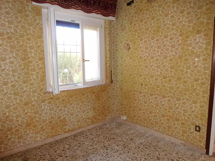 Immagine 9 di Terratetto in vendita  a San Giuliano Terme