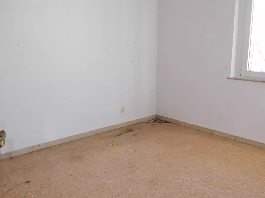 Immagine 12 di Terratetto in vendita  a San Giuliano Terme