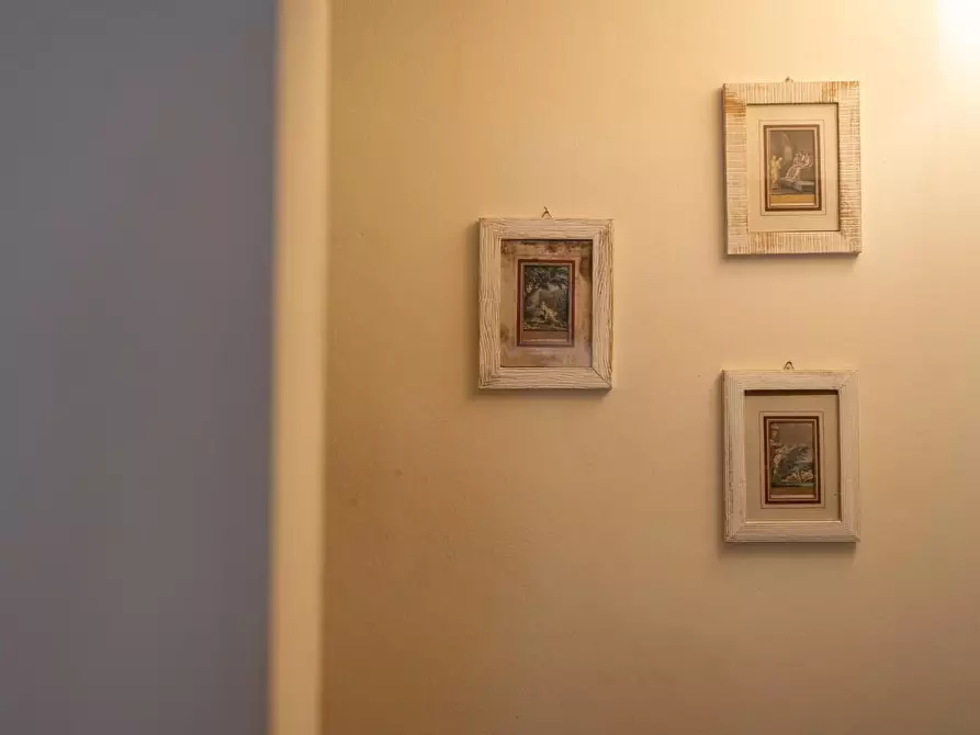 Immagine 50 di Casa semindipendente in vendita  a Ponsacco