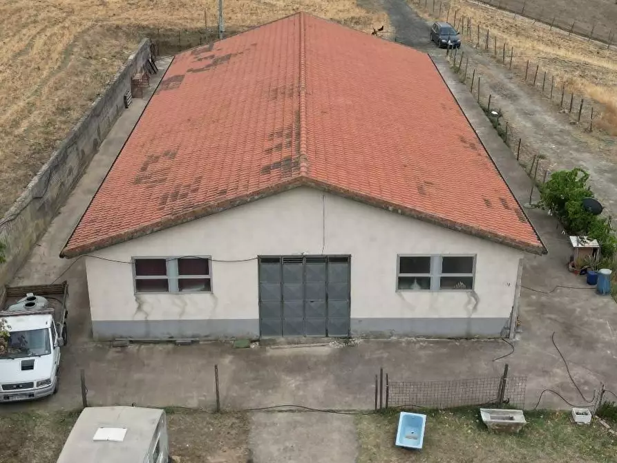 Immagine 27 di Attività artigianale in vendita  a Troina