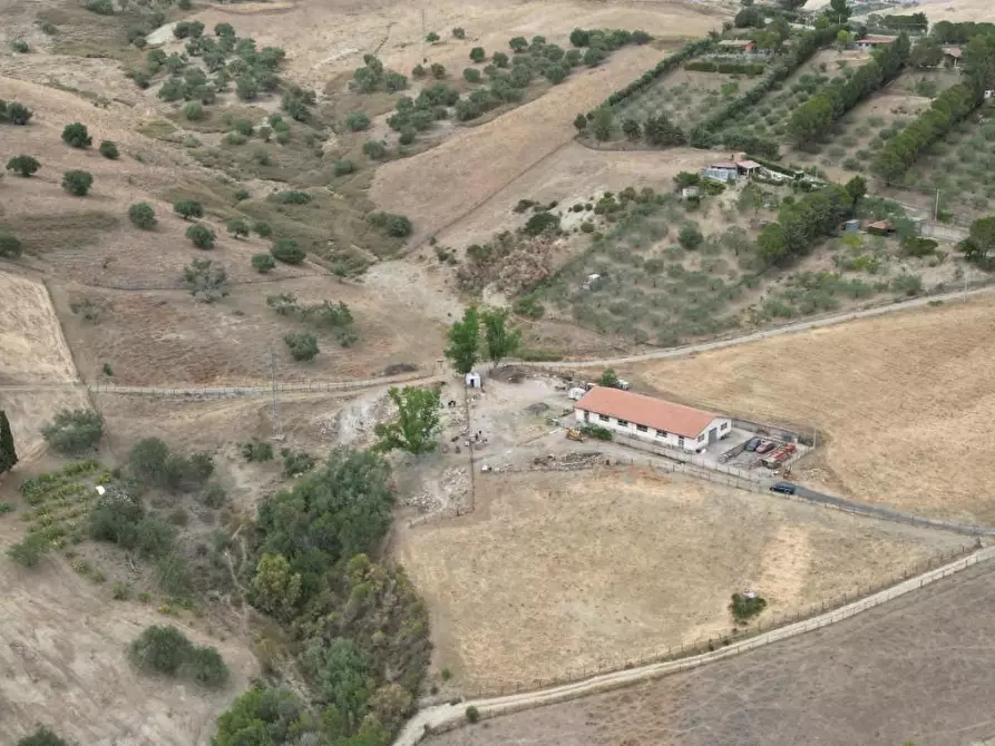 Immagine 5 di Attività artigianale in vendita  a Troina