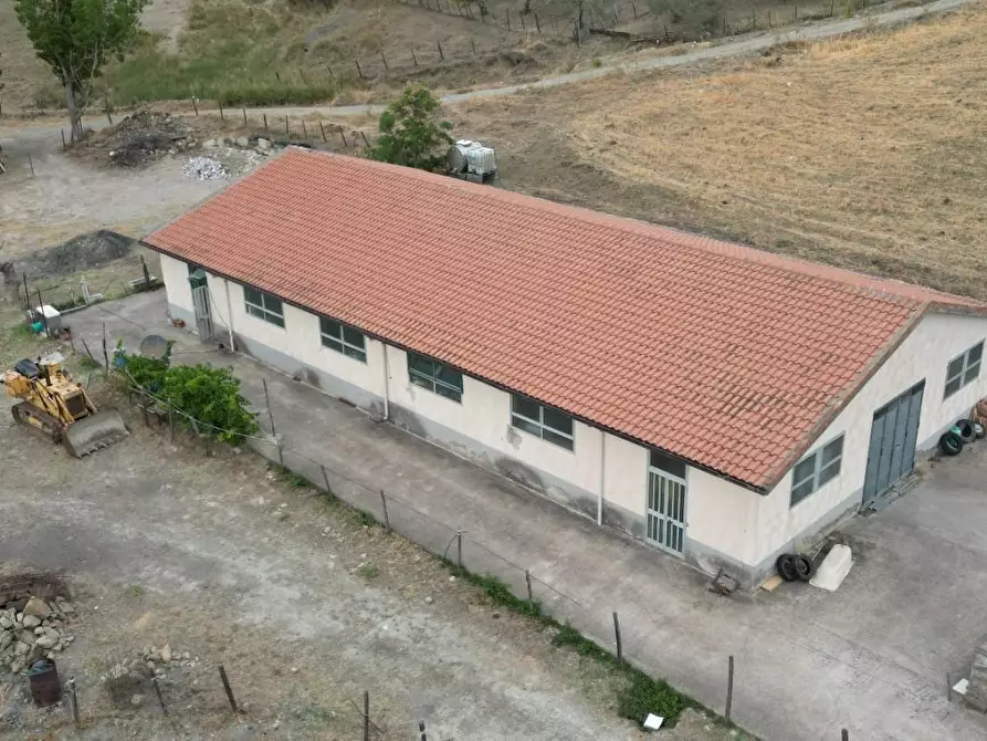 Immagine 3 di Attività artigianale in vendita  a Troina