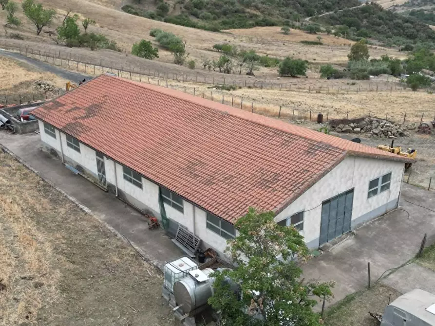 Immagine 20 di Attività artigianale in vendita  a Troina