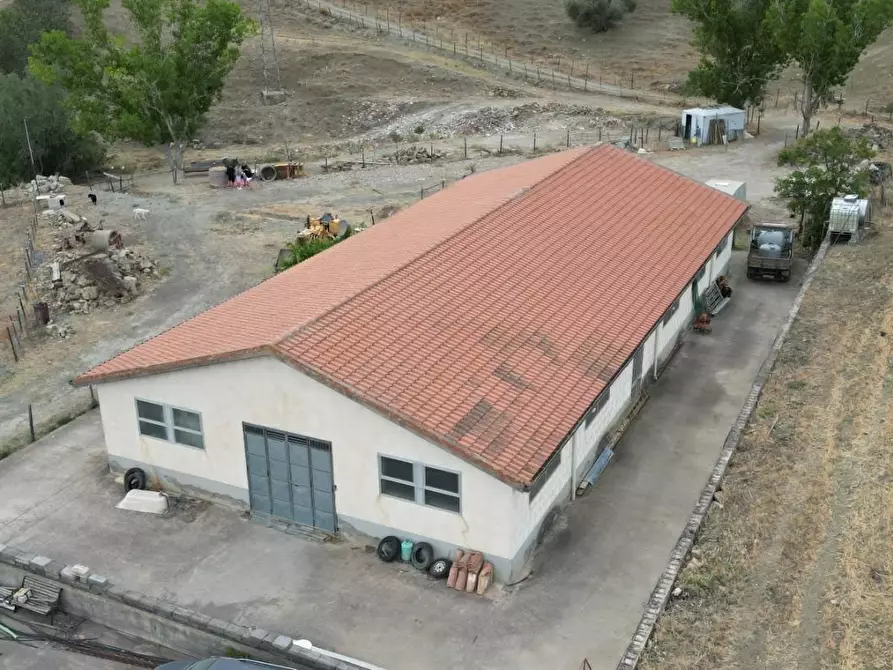 Immagine 25 di Attività artigianale in vendita  a Troina